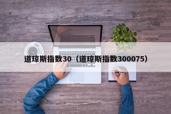 道琼斯指数30（道琼斯指数300075）
