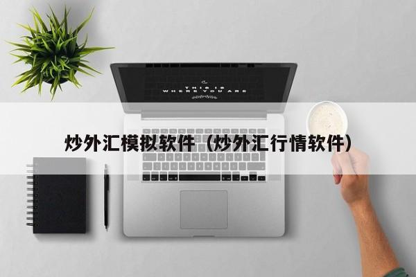 炒外汇模拟软件（炒外汇行情软件）