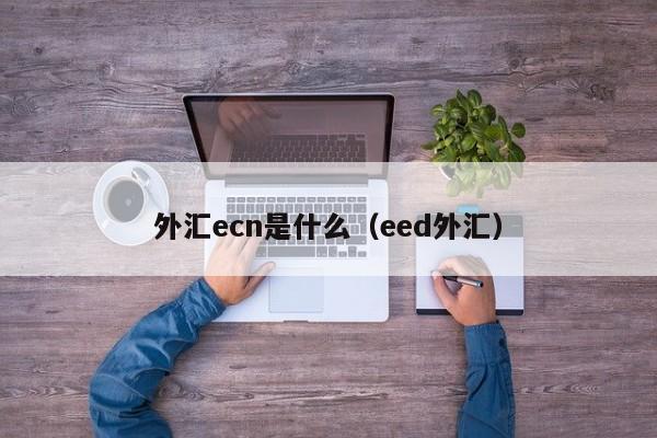 外汇ecn是什么（eed外汇）