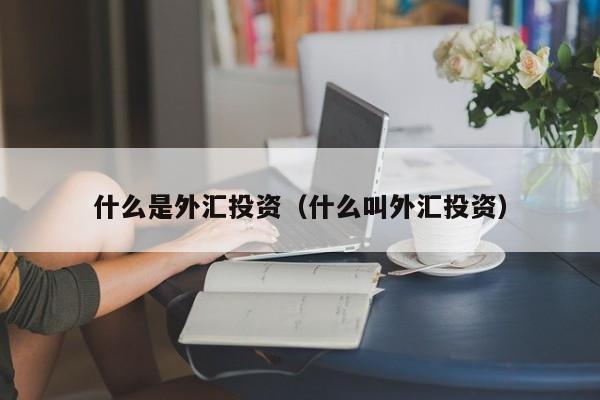 什么是外汇投资（什么叫外汇投资）